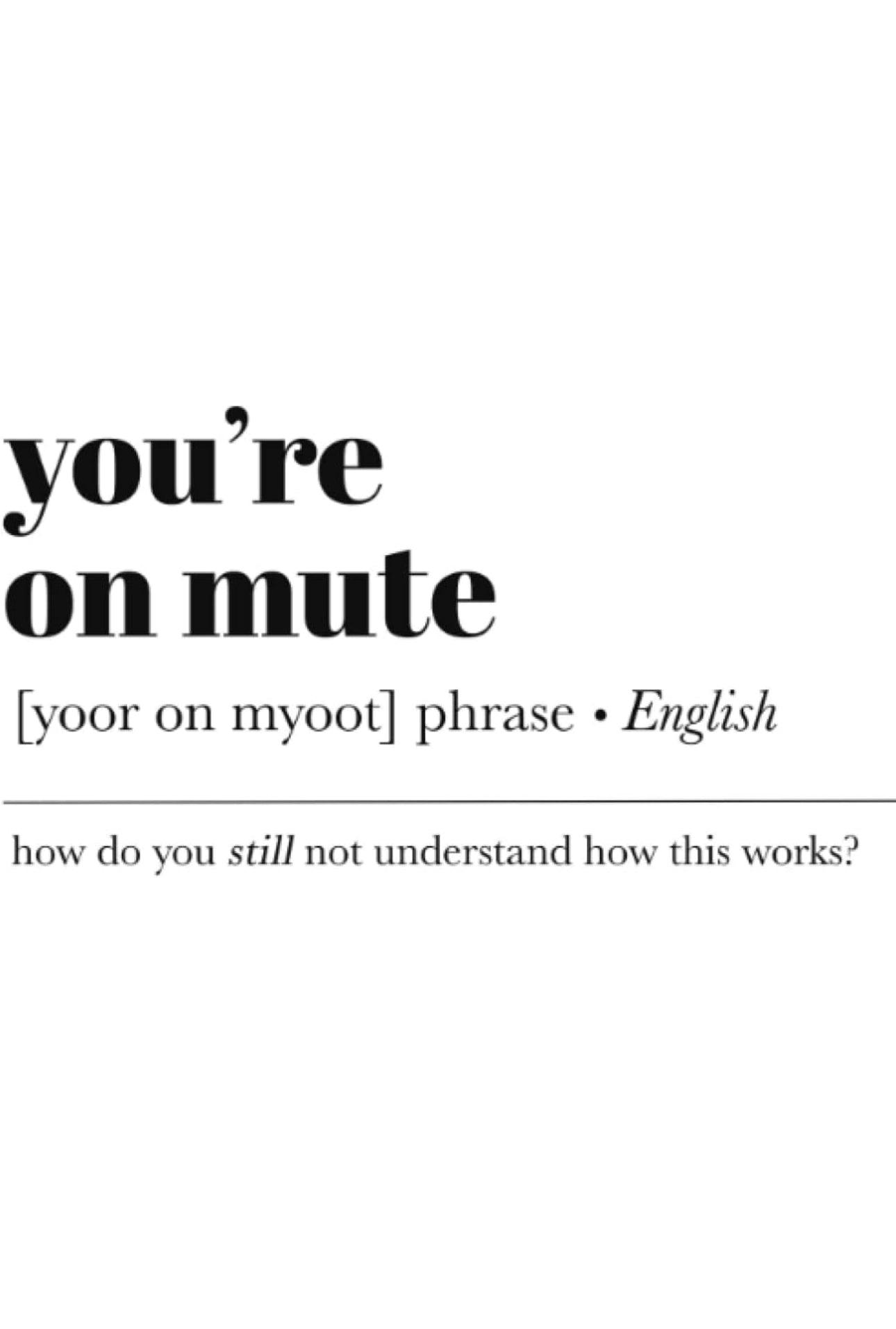 You're On Mute Office Journals Notebooks