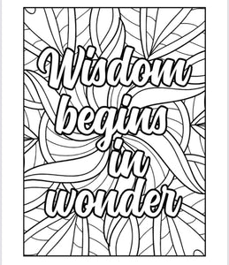 Every Shade Is Beautiful Coloring Book: Teens